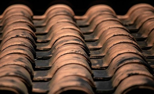 Roof Cleaning: 3 Key Signs It’s Time to Take Action Roof Cleaning
