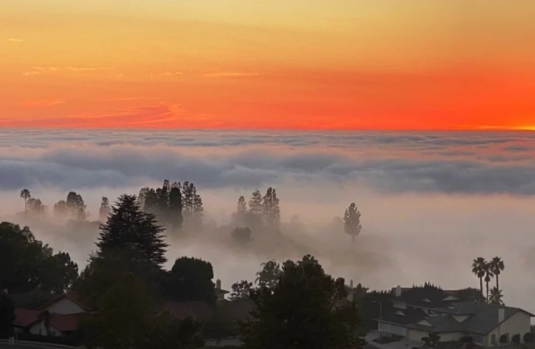 Foggy Mornings on the Oxnard Plain