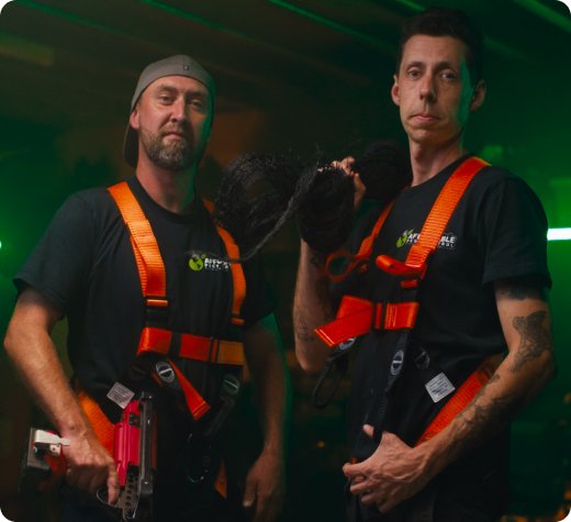 Effective Wollongong Pest Control Solutions for Every Home