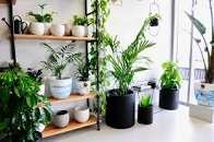 The Importance of Choosing the Right Outdoor Pots and Planters